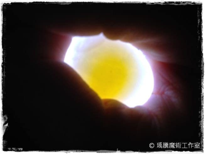 班鳩_無受精卵