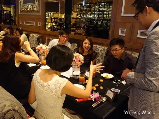 婚禮魔術表演_隨意鳥地方